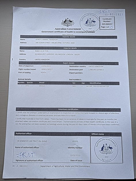 Sniffy the beagle's health certificate for export from Australia