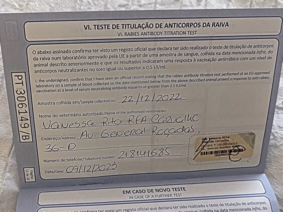 Sniffy Beagle with EU Vaccine Passport