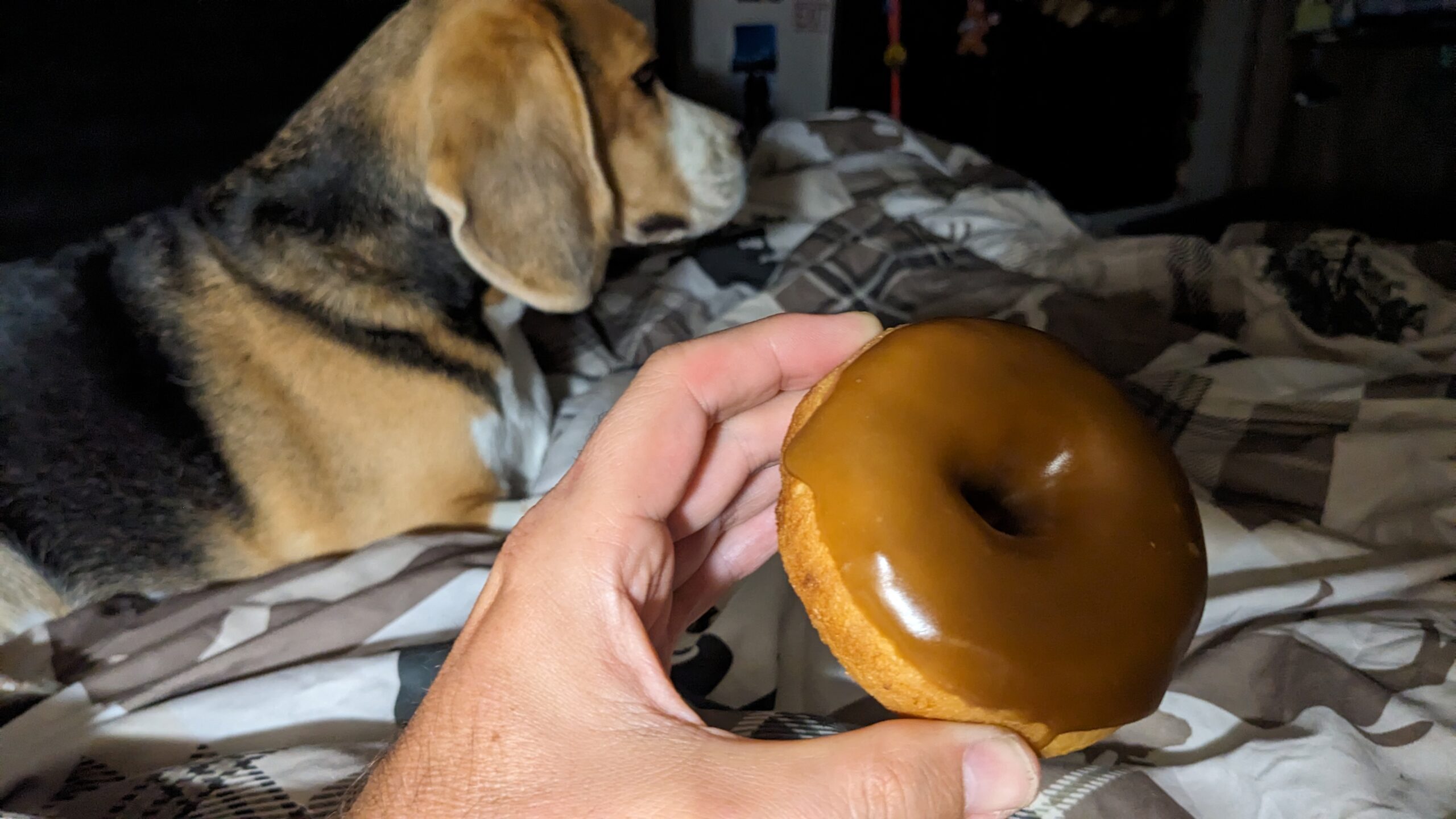 Safeway Bakery’s Maple Bar Donuts