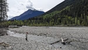 Scenic view of Mount Robson River and Mount Chamberlain in nature