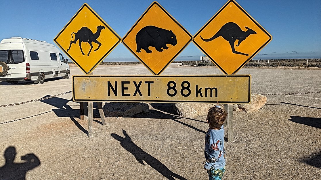 Exploring Nullarbor Wildlife: Road Safety Tips & Advice