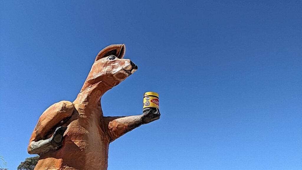 WA-SA Border Village kangaroo Vegemite blue sky