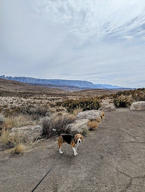 Rio Grande Overlook at Dead Mans Curve - Big Bend National Park, Texas