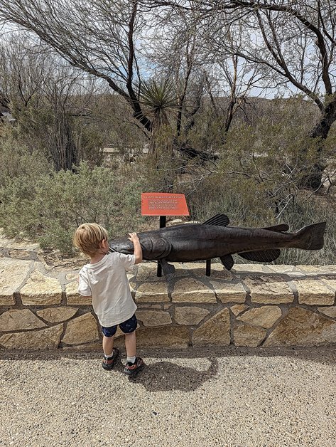 Rio Grande Visitor Centre Fish Statue - Big Bend National Park Texas