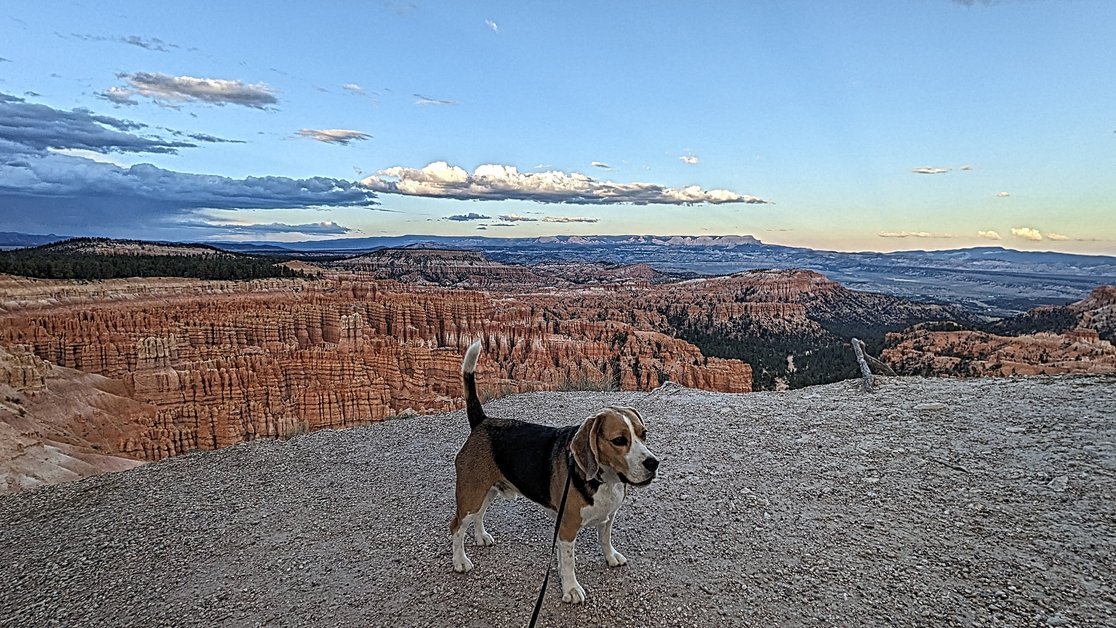 Exploring Bryce Canyon National Park with Your Dog