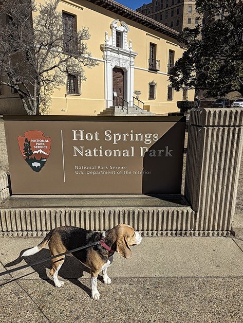 Hot Springs National Park sign with sniffy beagle bark ranger