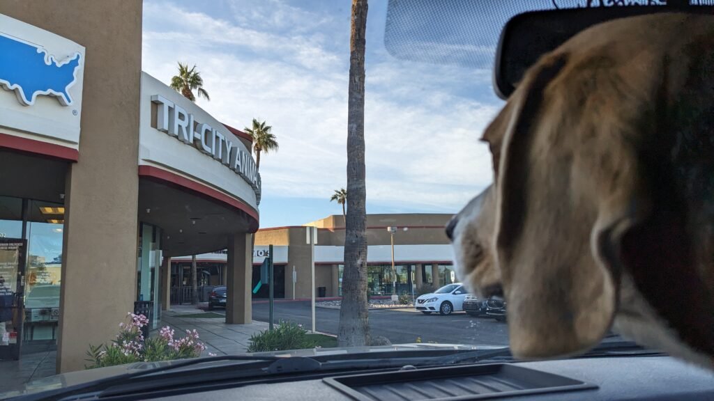 Sniffy is Cautious Approaching the Vet for His FInal Health Check