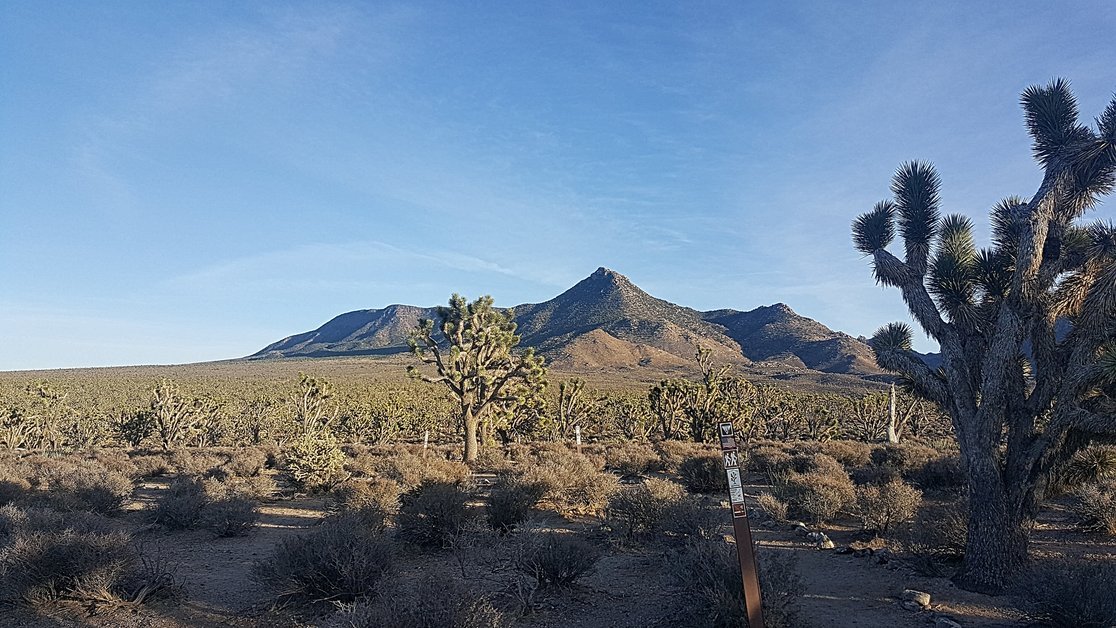 Explore the Saguaro National Park West Desert Discovery Nature Trailhead