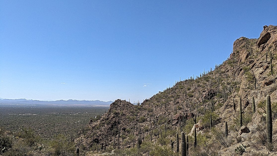 Saguaro National Park view from Gates Pass Trailhead