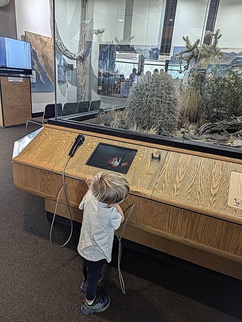 Toddler Listening to Displays at Red Hill Visitor Center in Saguaro National Park