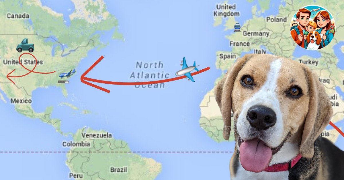 Sniffy's incredible journey across four continents—Australia, the UK, Europe, and the USA—mapped out with his travel route.