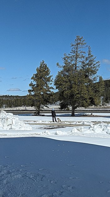 Dog and Owner Waiting Outside Yellowstone National Park Old Faithful Geyser Visitors Centre